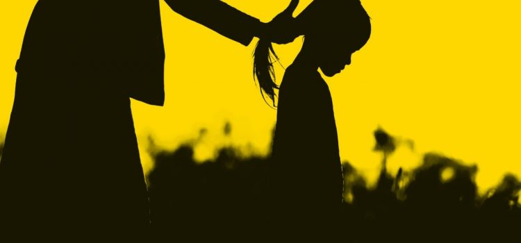 La Tresse de Laetitia Colombani